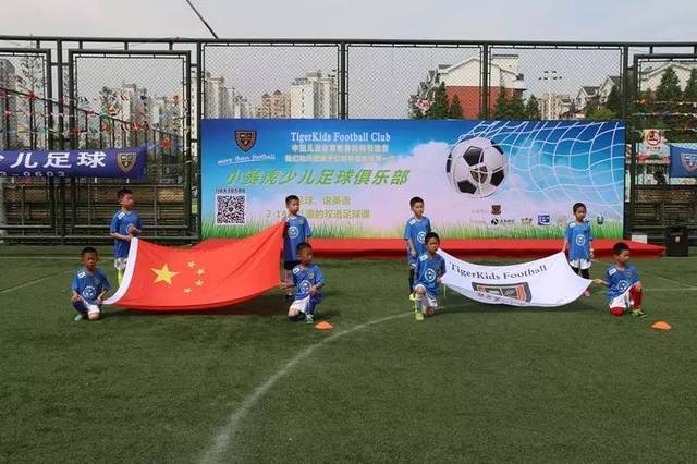 能够即插即 能够即插即